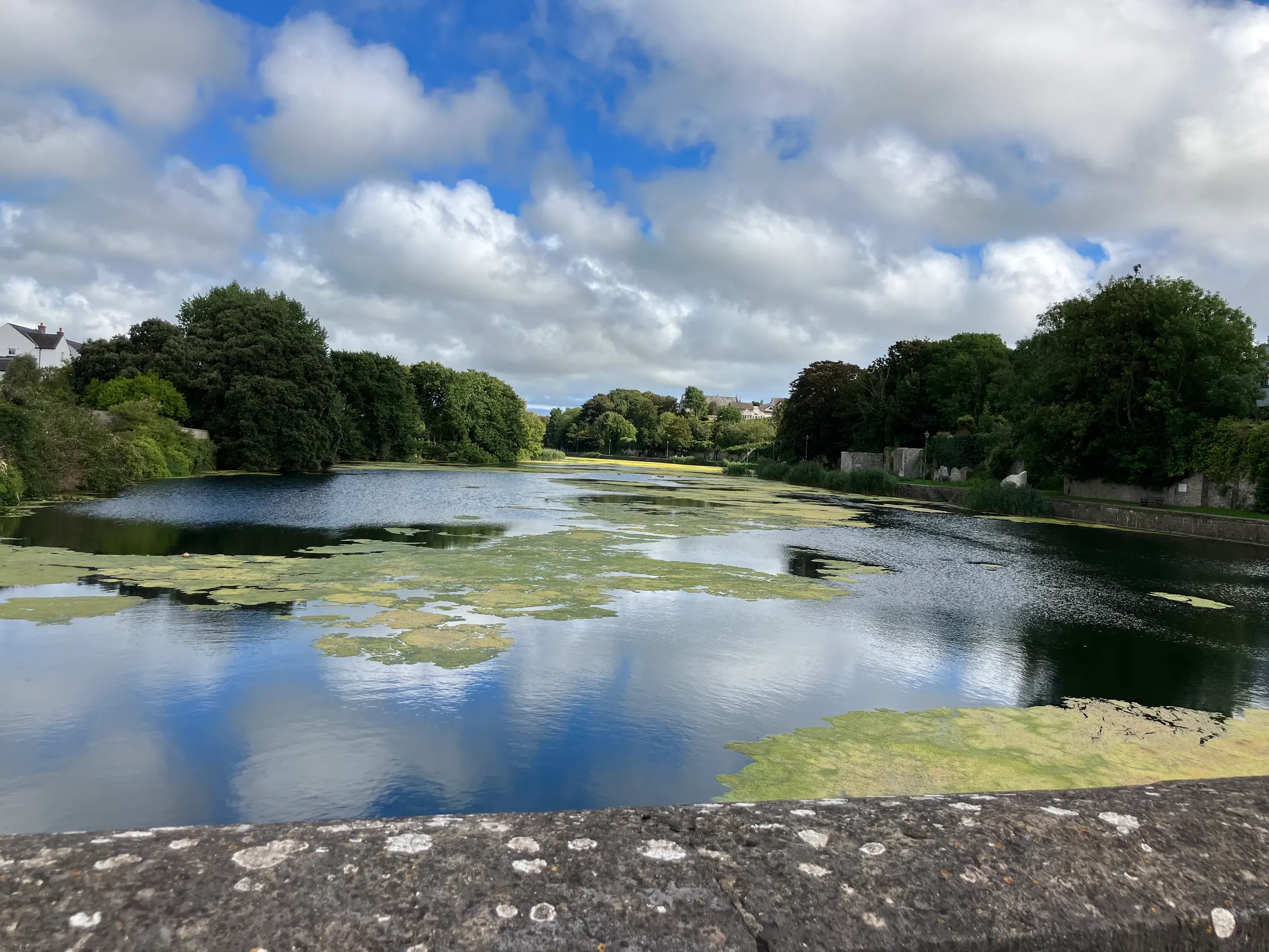 A pond outside the castle. It was a real pretty view.