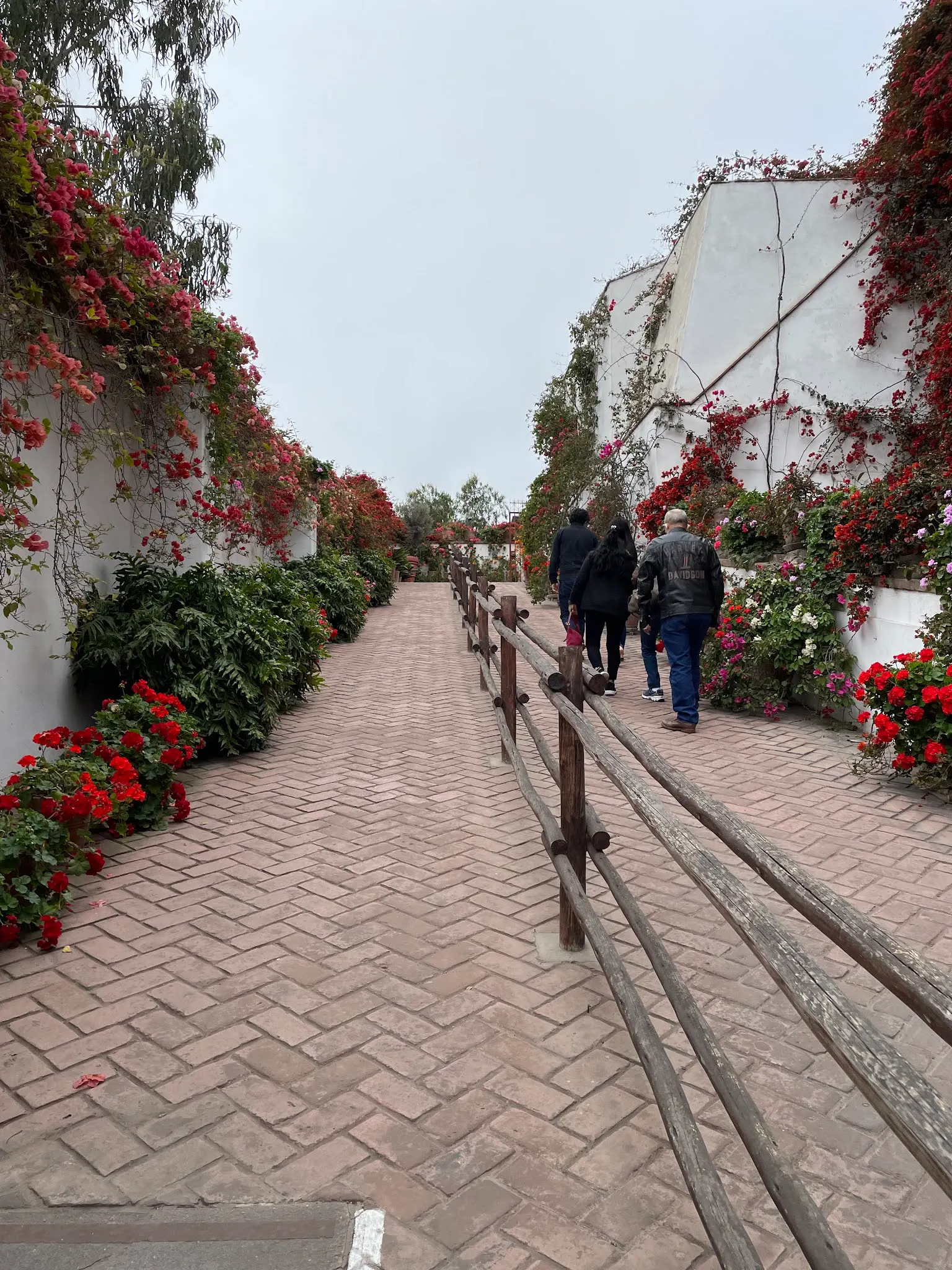 Walking up to the entrance of Larco Museum……