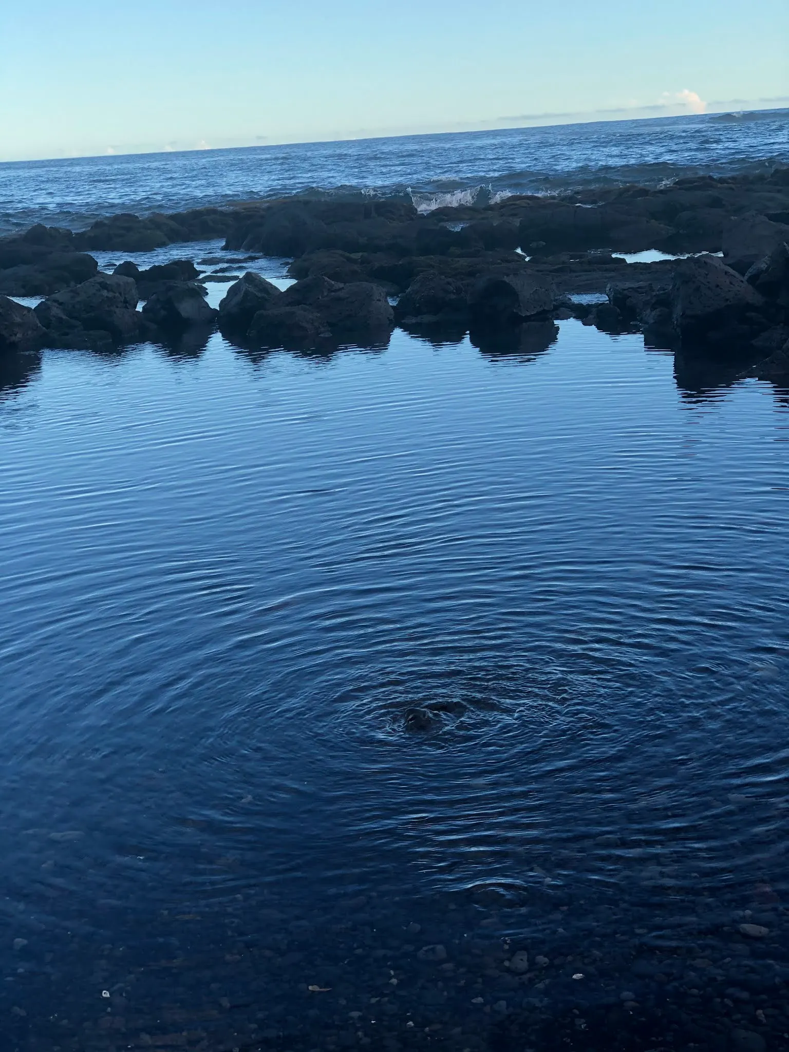 In one of the tide pools at the Black Sand Beach, there was this ripples in the water.. It was a little spring of water coming up through the rocks.