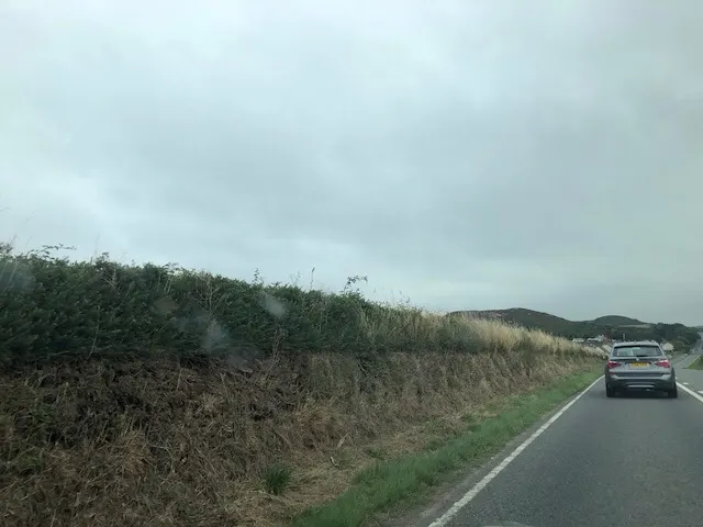 Part of the frustration today was the high hedges. There was beautiful coastal scenery, but you could not see it. Pretty frustrating...