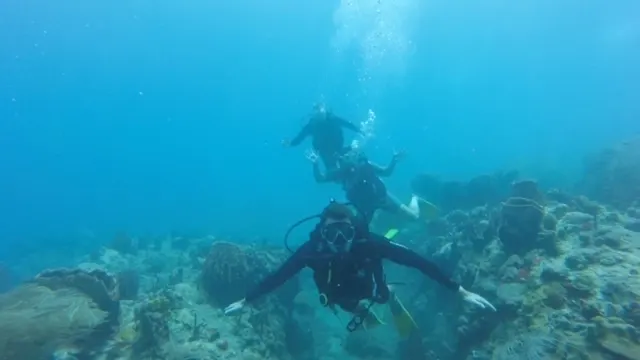 Pack of three divers....
