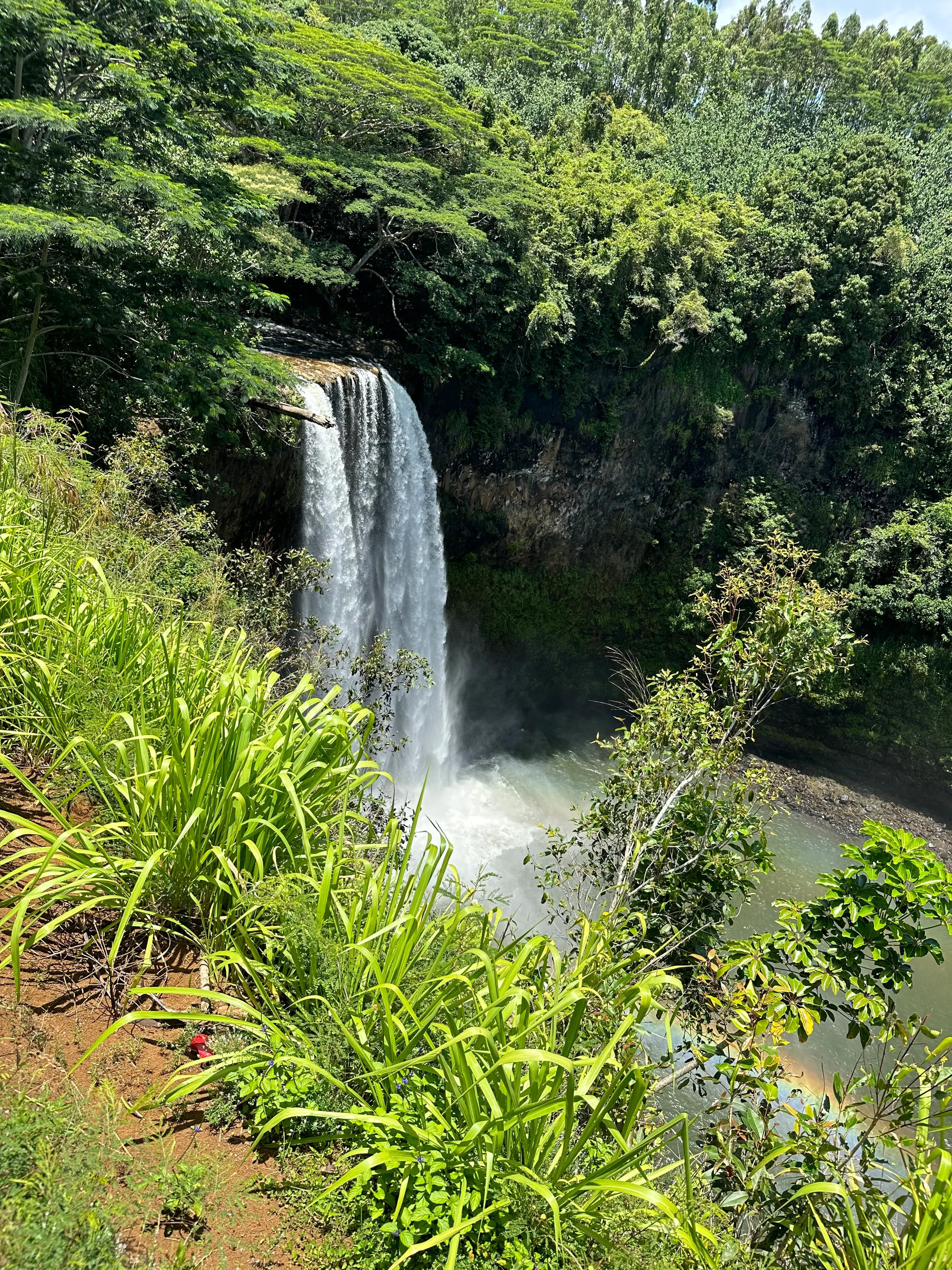 Waelia Falls.,.