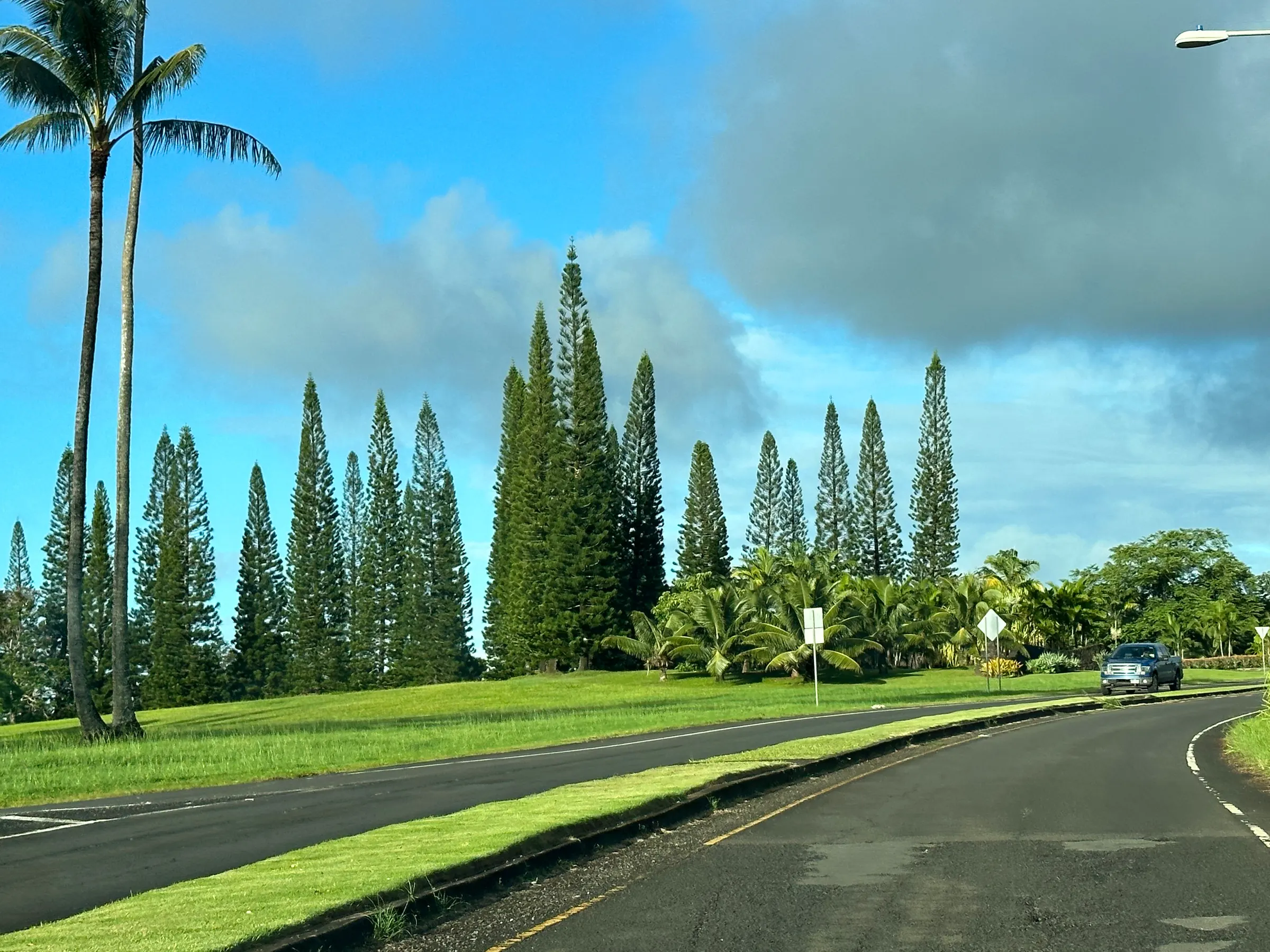 This is the road coming into our condo area. There is a beautiful golf course all around us. I should have brought my clubs and robbed a bank!