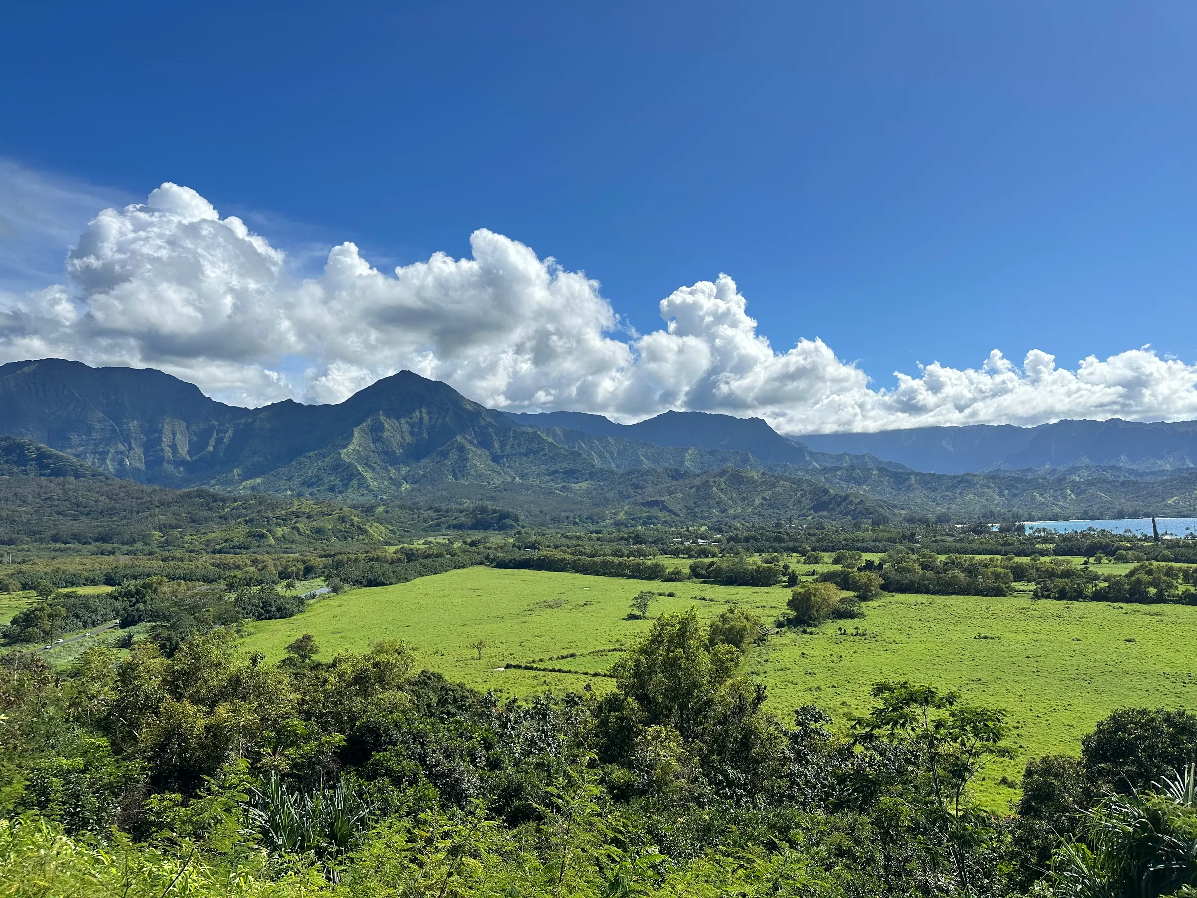 This was taken at a stop over looking the Hanalei valley. You can see Hanalei Bay to the upper right of the picture.