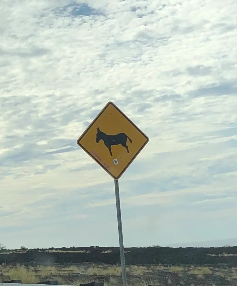 This is where they let the Denver Broncos cross the road when they come to the Big Island. I guess they run free over here as we saw a number of Denver Bronco crossing signs!
