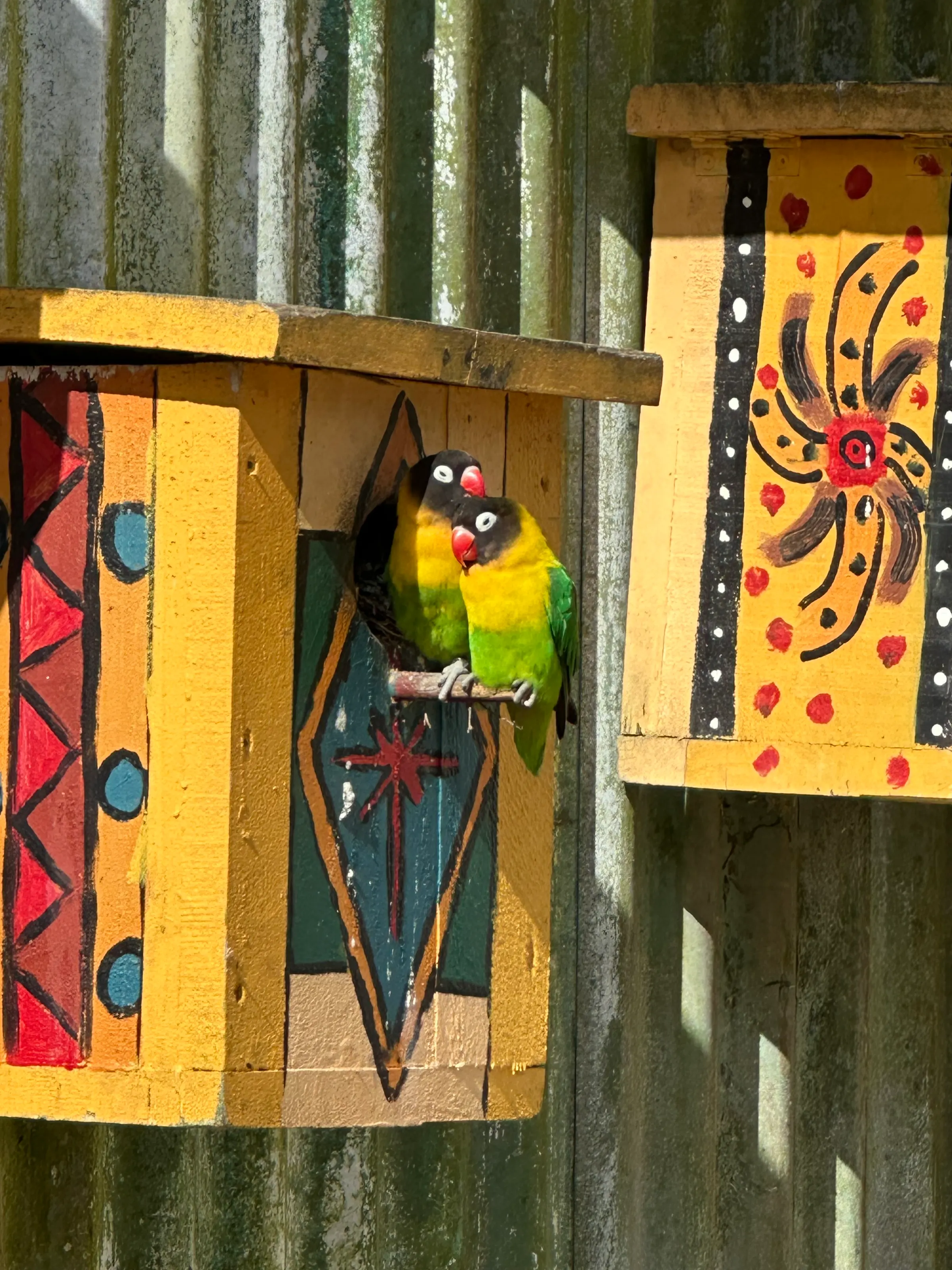 Ahh…two love birds.