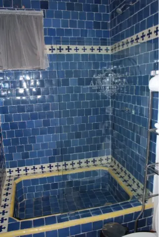 The 'tiled' shower. The shower head is good for Rudy Gobert!!!
