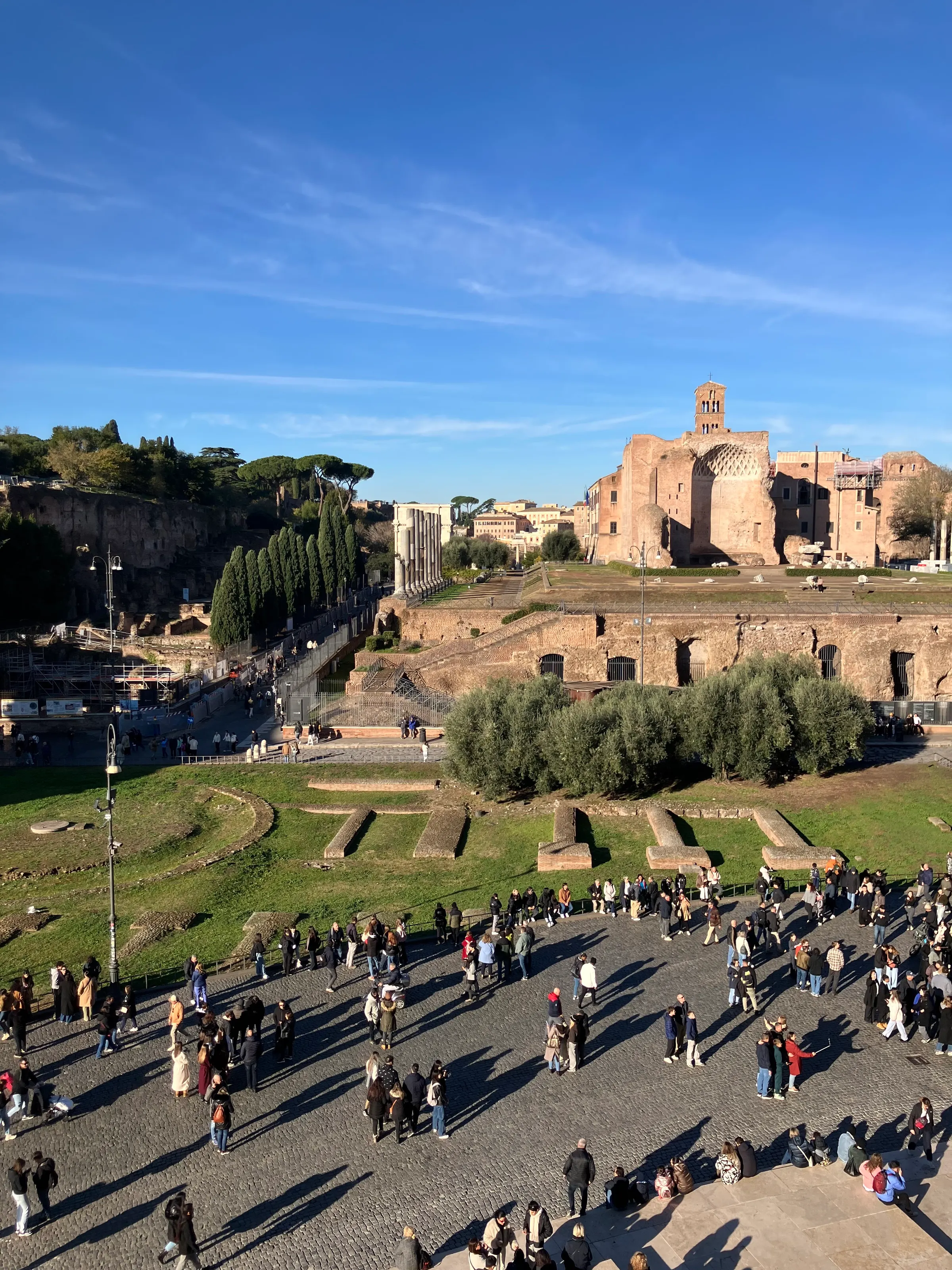 Looking down on the Roman Forum.