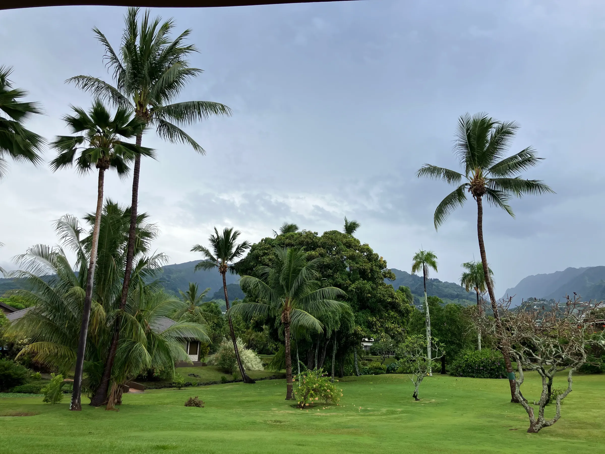 The mountains here on Tahiti are amazingly beautiful. So lush.