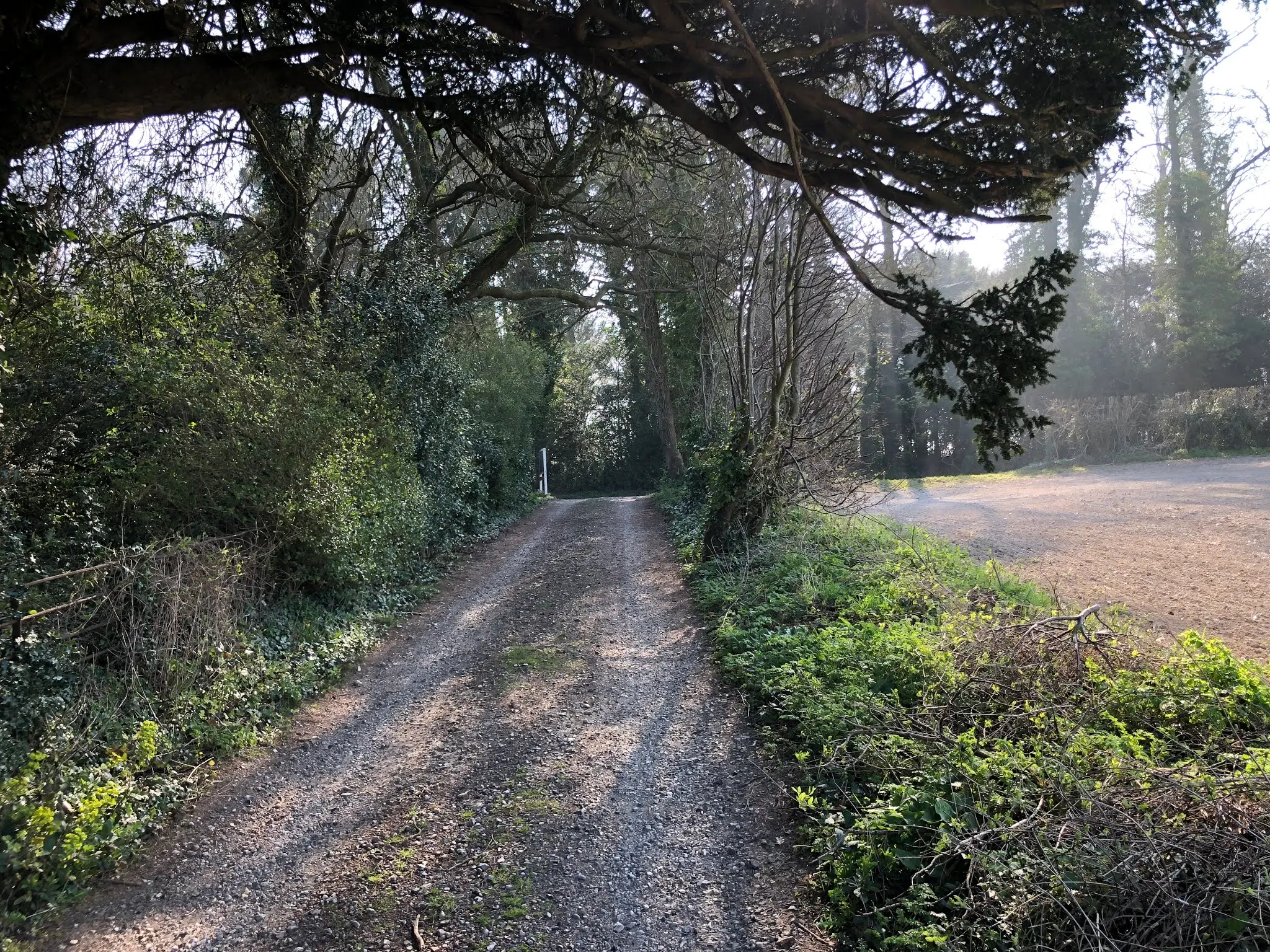 The country lane that we found and drove to Diane’s Cottage.