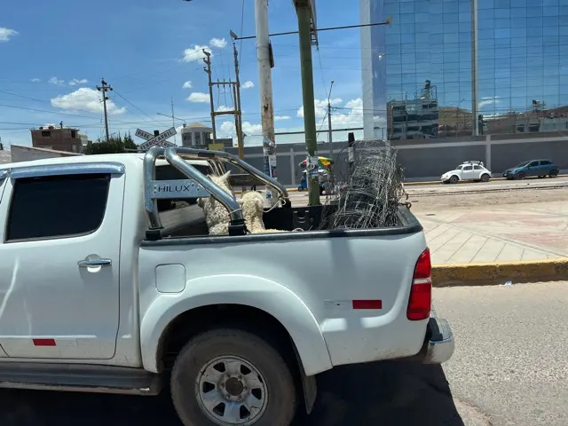 This was a Llama or Alpaca transport…..