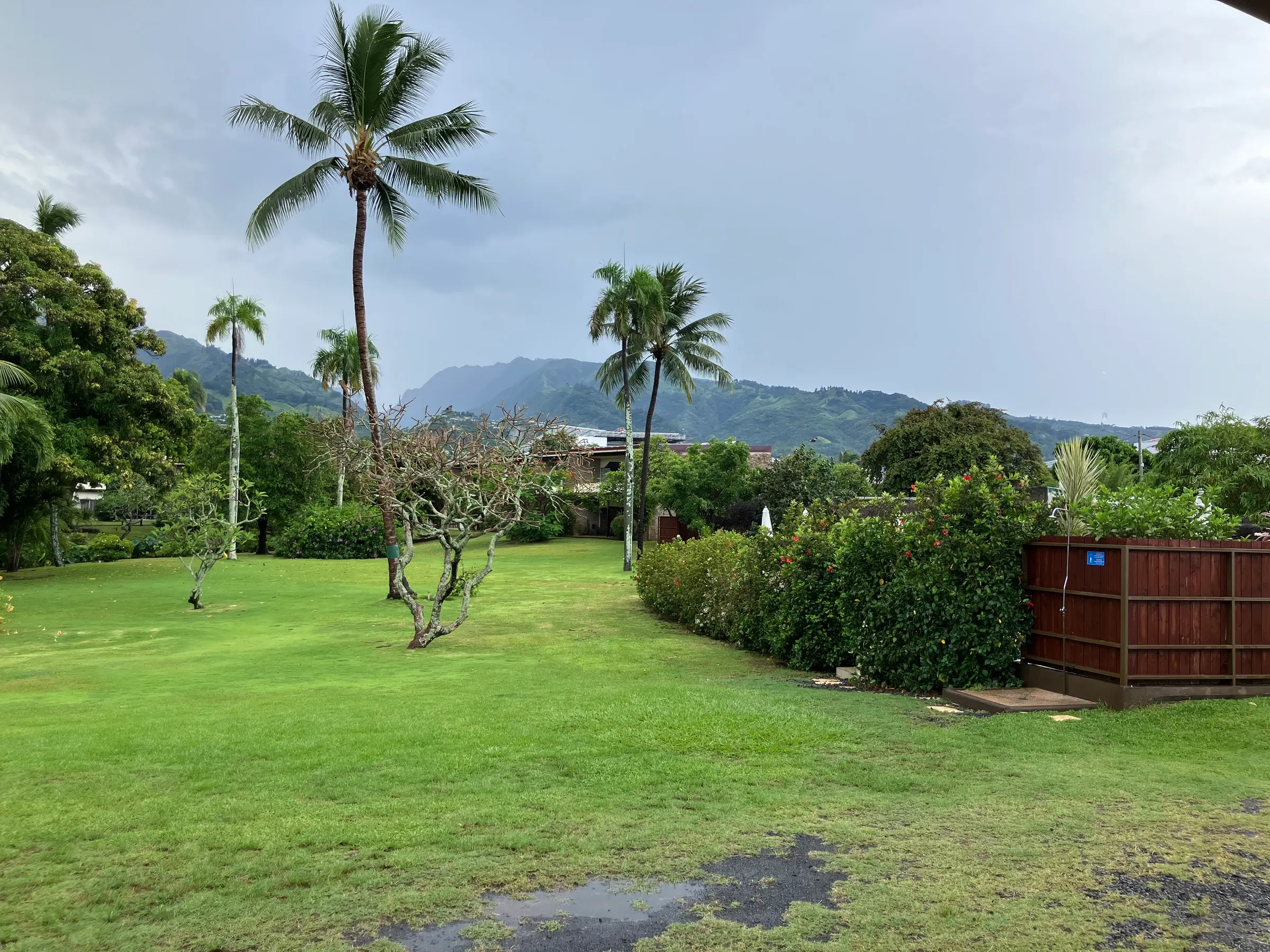 More pictures of our grounds and mountains.