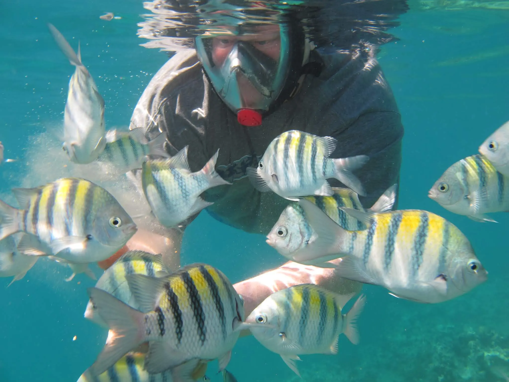 Some snorkeling shots....