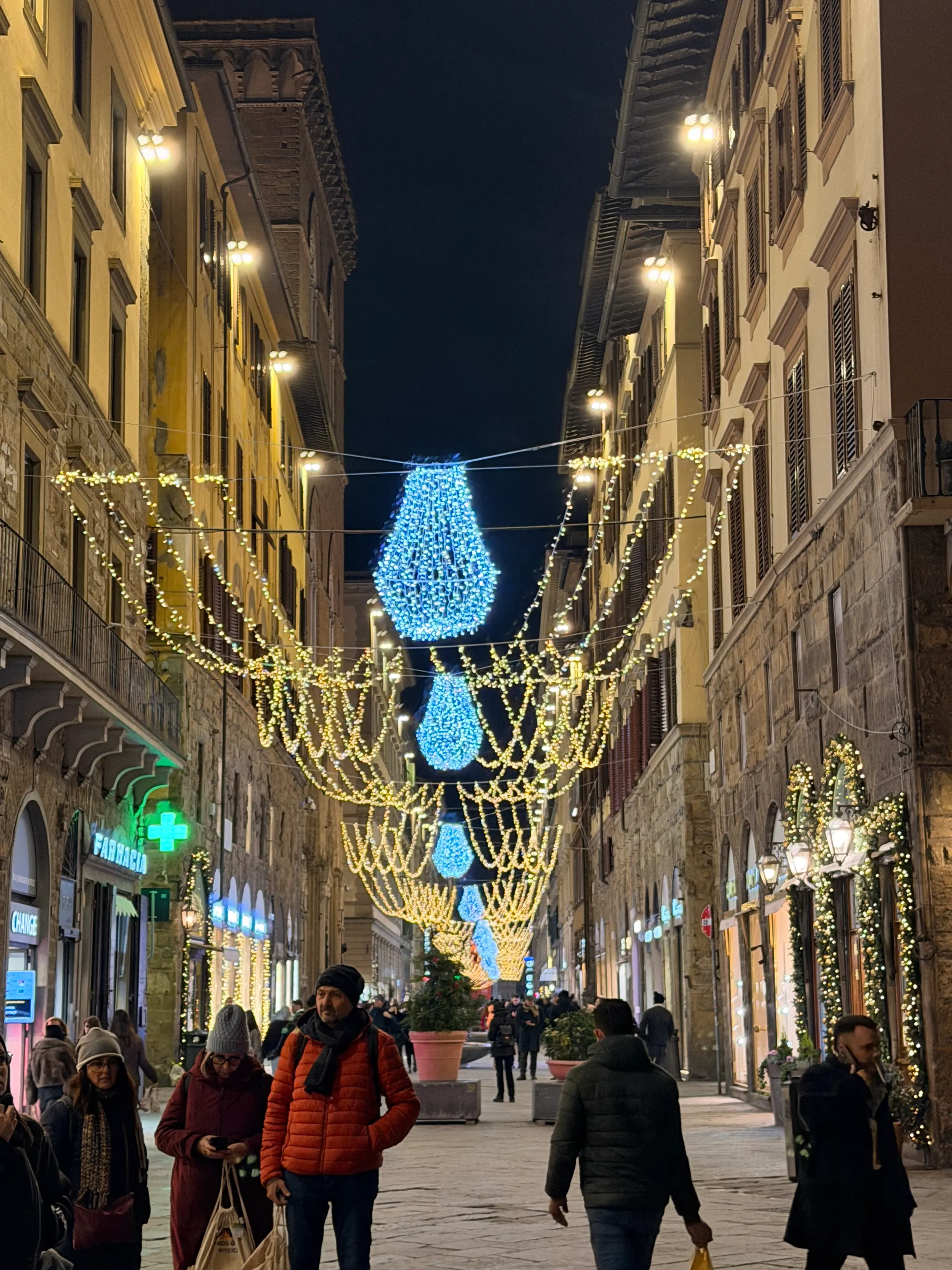 More nice Christmas lights on one of the main streets down town.
