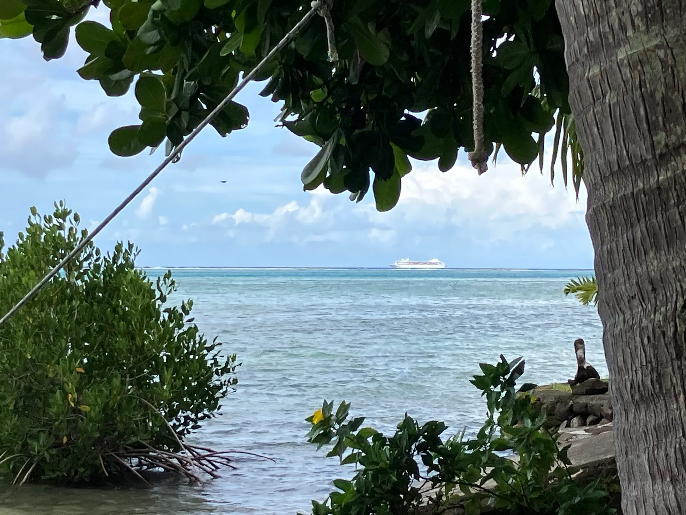 A cruise ship passing having probably left Cook’s Bay.