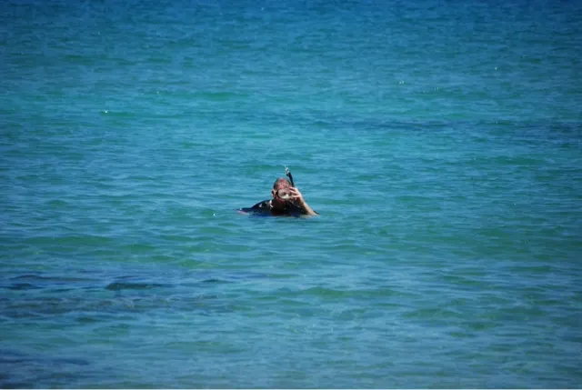That is not a killer whale...it is me! :-)