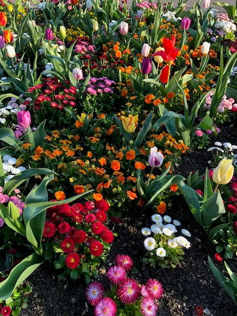 Flowers at the temple site....
