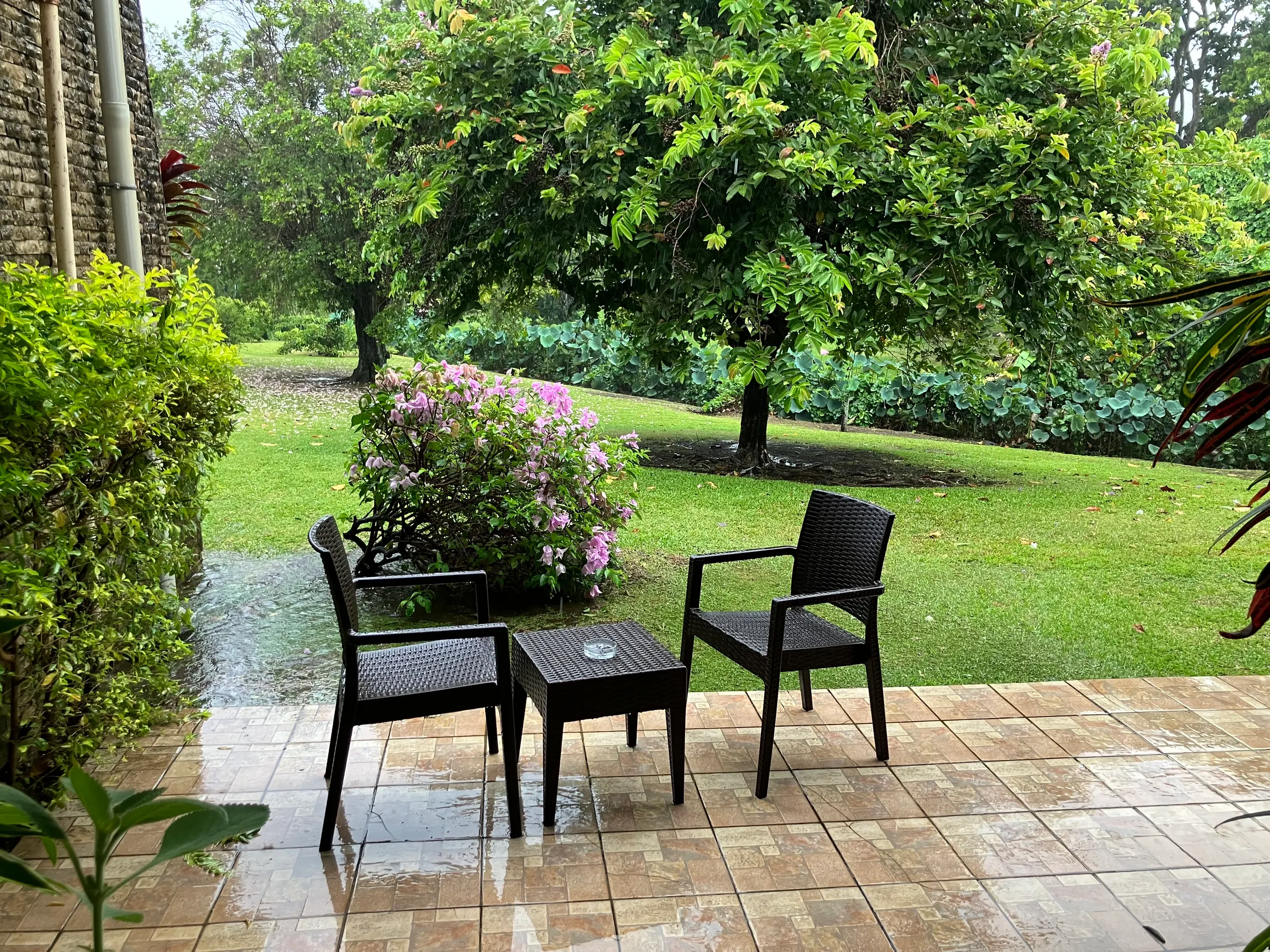 Looking outside our window to our patio this morning watching the rain come down. Looks pretty out there now that we can see it in the daylight.