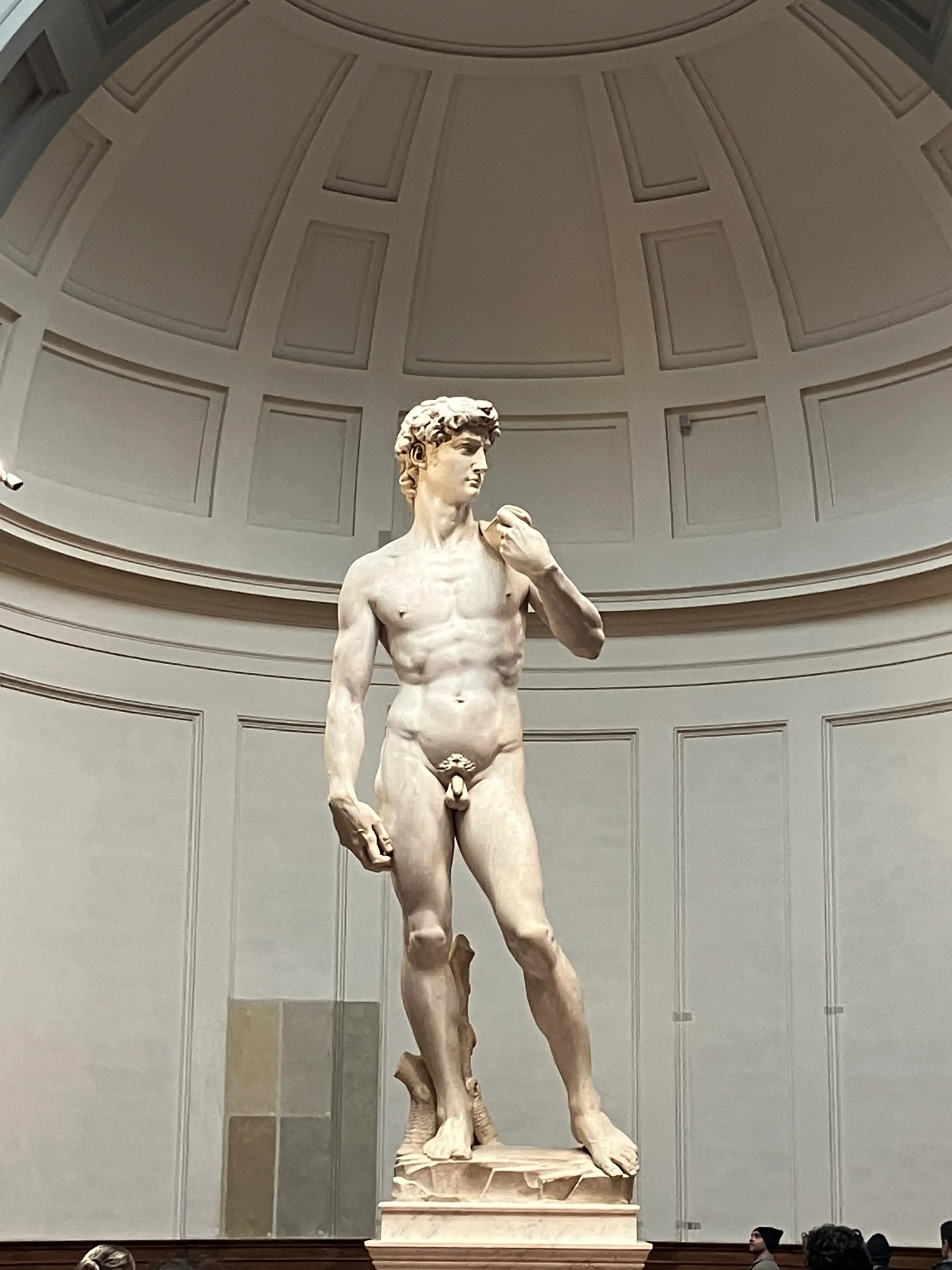 Some pictures of David {and another statue}.