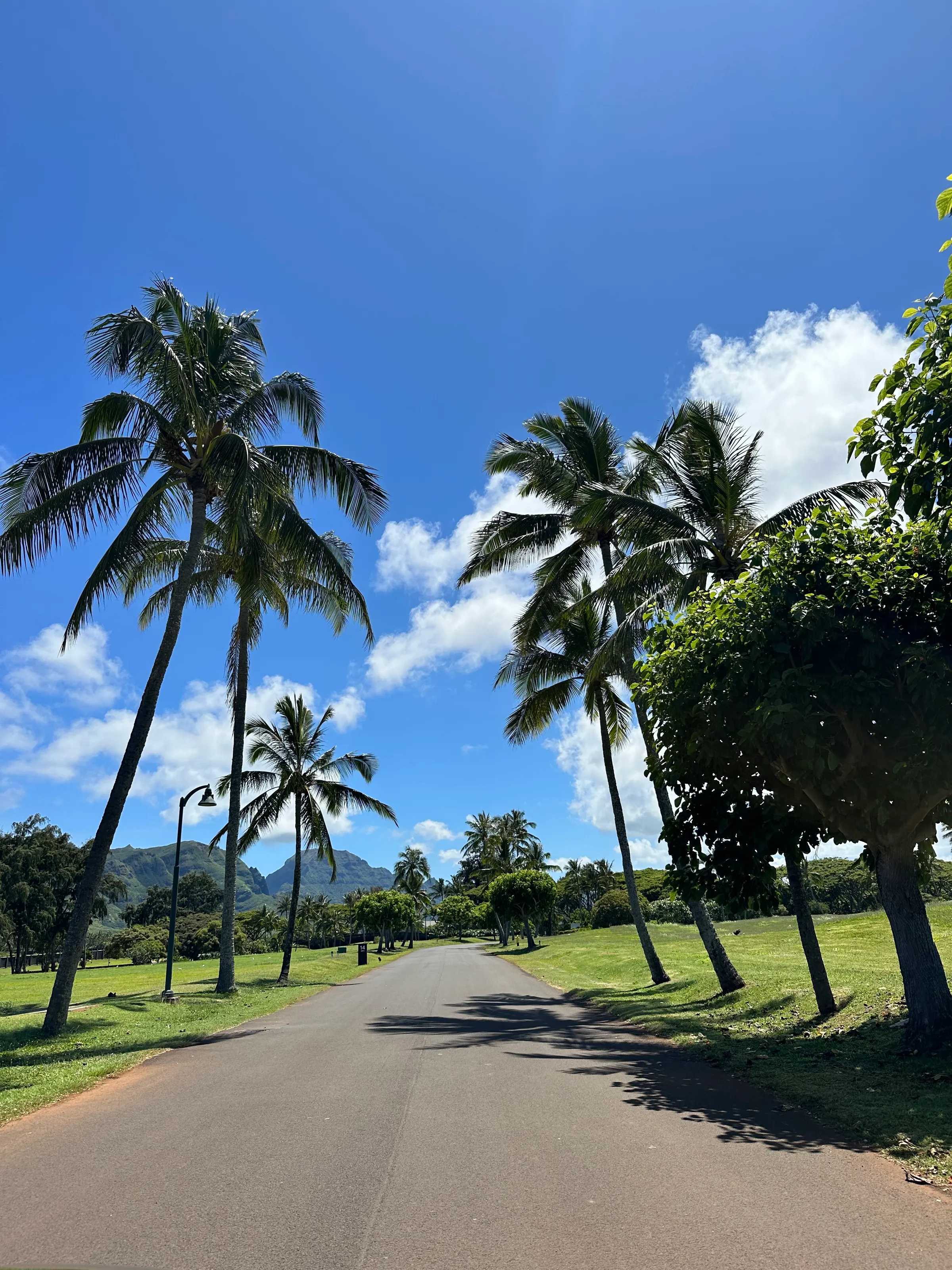 The beautiful drive….