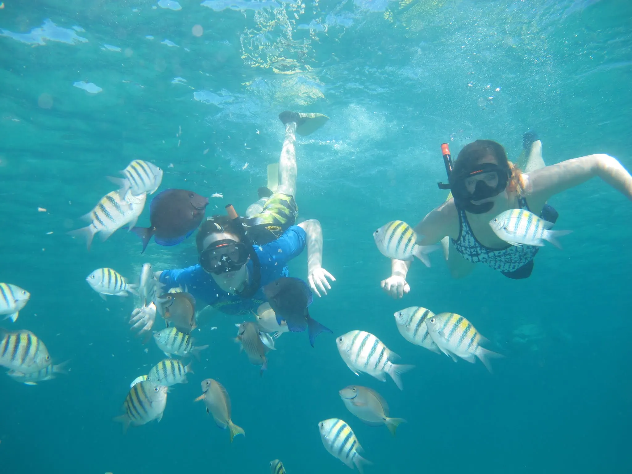 Some snorkeling shots....