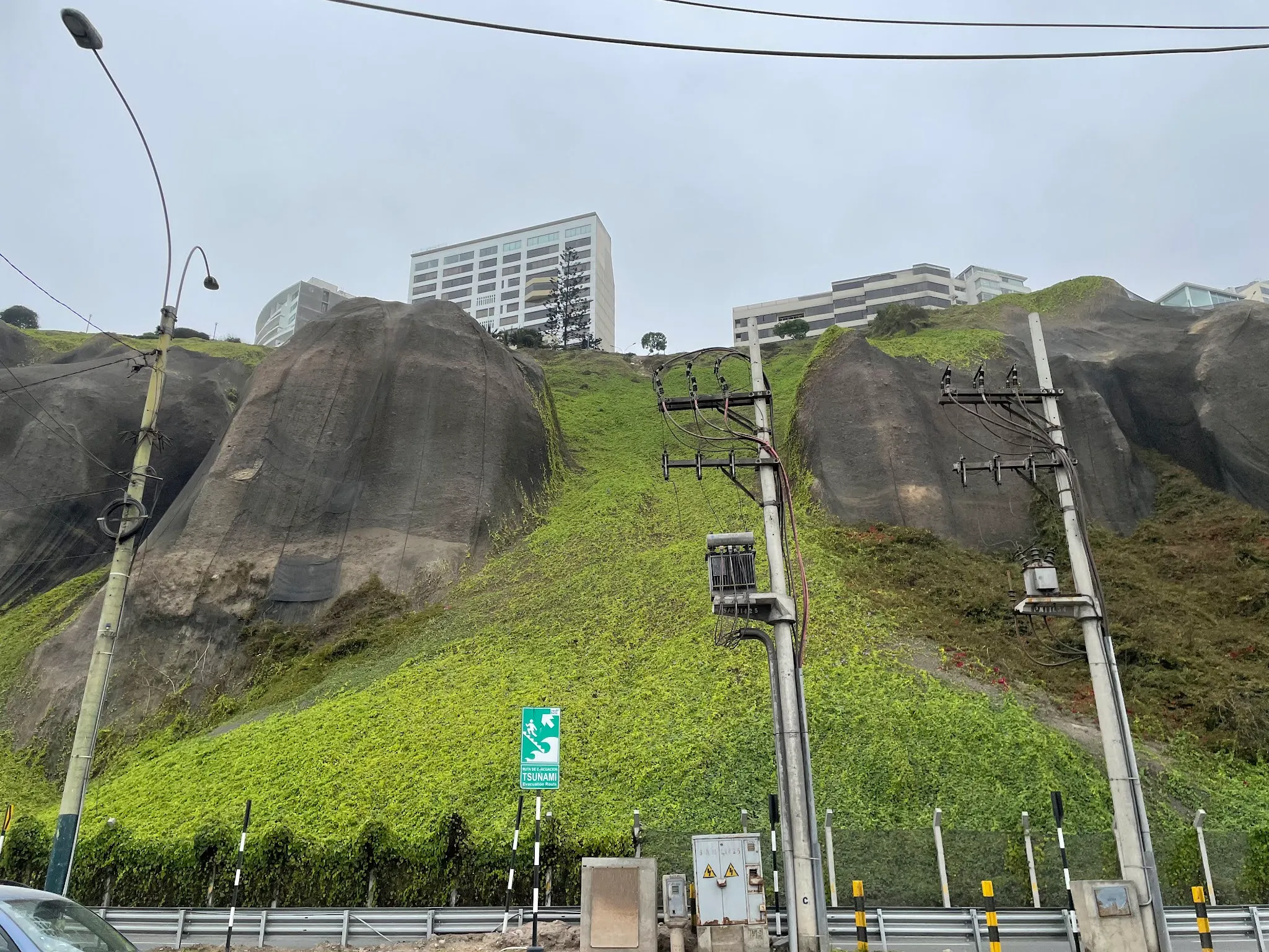 All the hills are covered in this netting and ivy is slowly crawling up it and covering it. Someday it will be really beautiful.