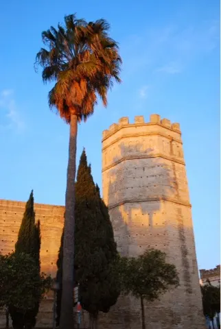 Tower at the Moor Castle in Jerez de la Frontera. The castle was closed...only open until 2:30 PM each day. We had no idea....