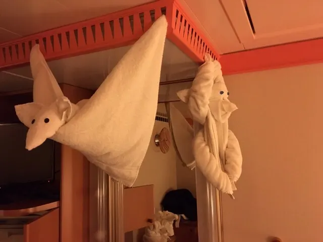 Flying towel creatures.....