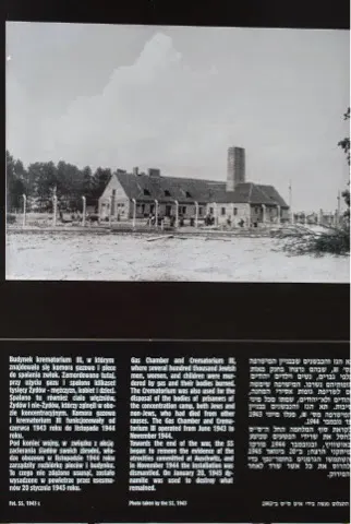 Part of the crematorium. When the Nazis realized that their work was being discovered, they tried to destroy as much of this camp as possible. They dynamited these structures.