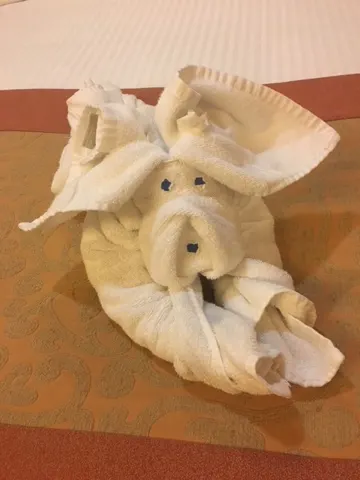 The standard cruise affair of folding your towels into scary animals....