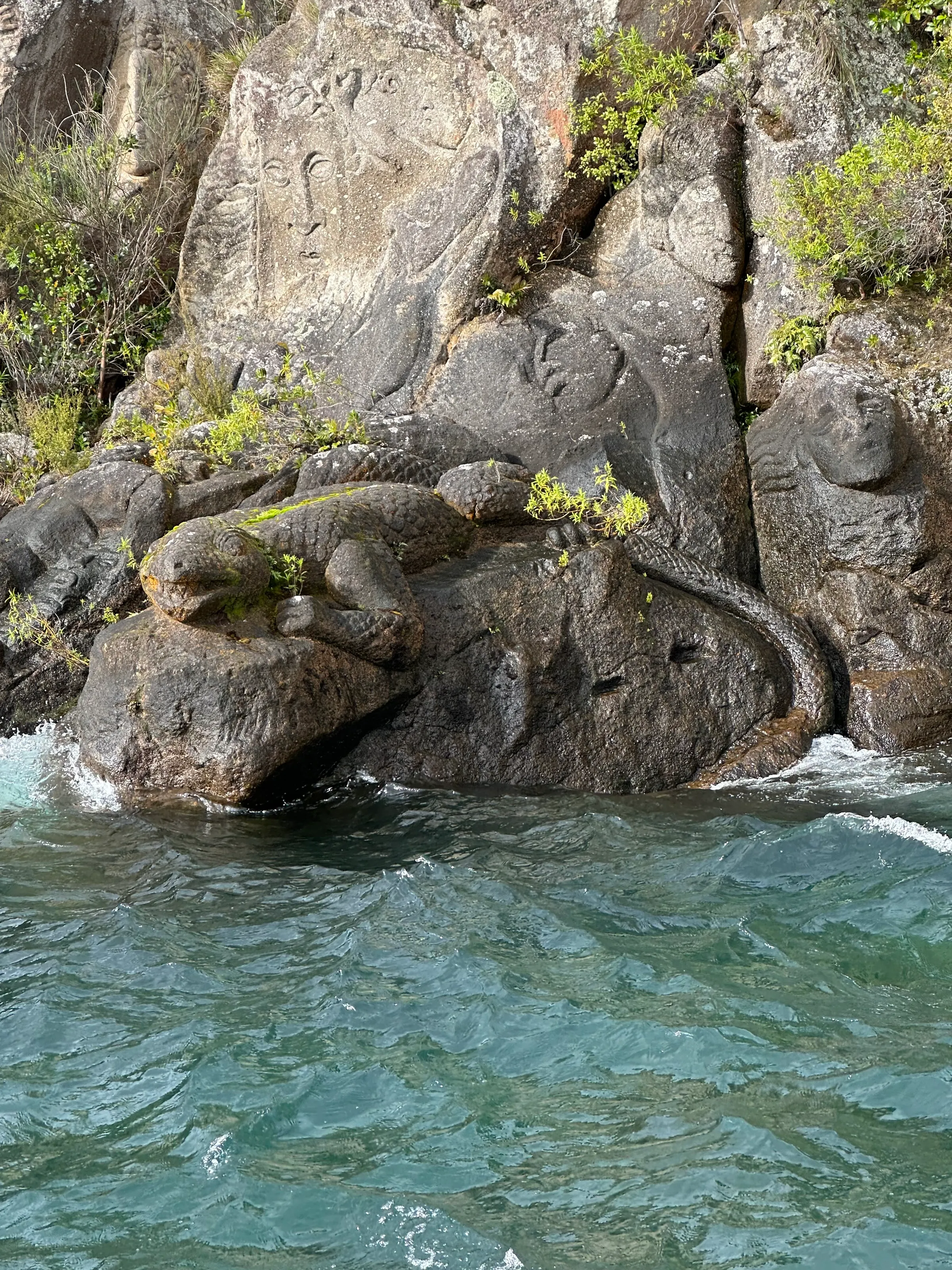 A lizard carving in the stone at a site where many Māori carvings have been done. But not centuries ago. They were carved in 1970 if you can believe that. But it was a Māori dude who did it.