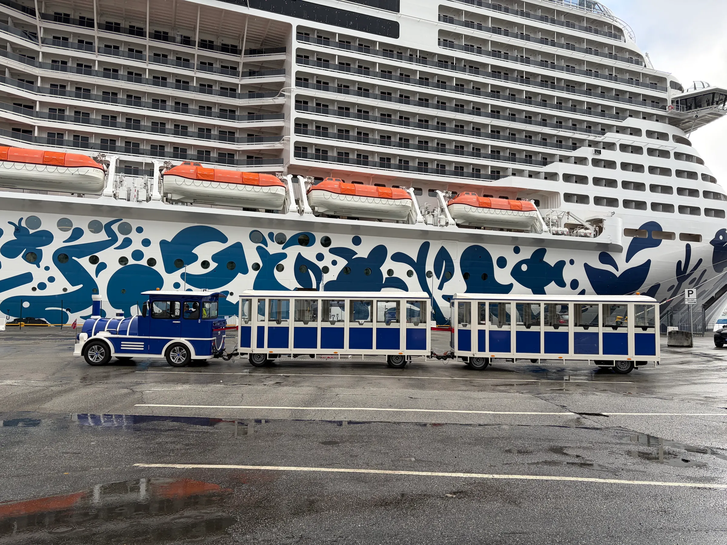 This is the trolly train that we took that was sitting near the scooters we rented and where we dropped them off. That is our ship in the background. There was another ship (Aida Line) in harbor also.
