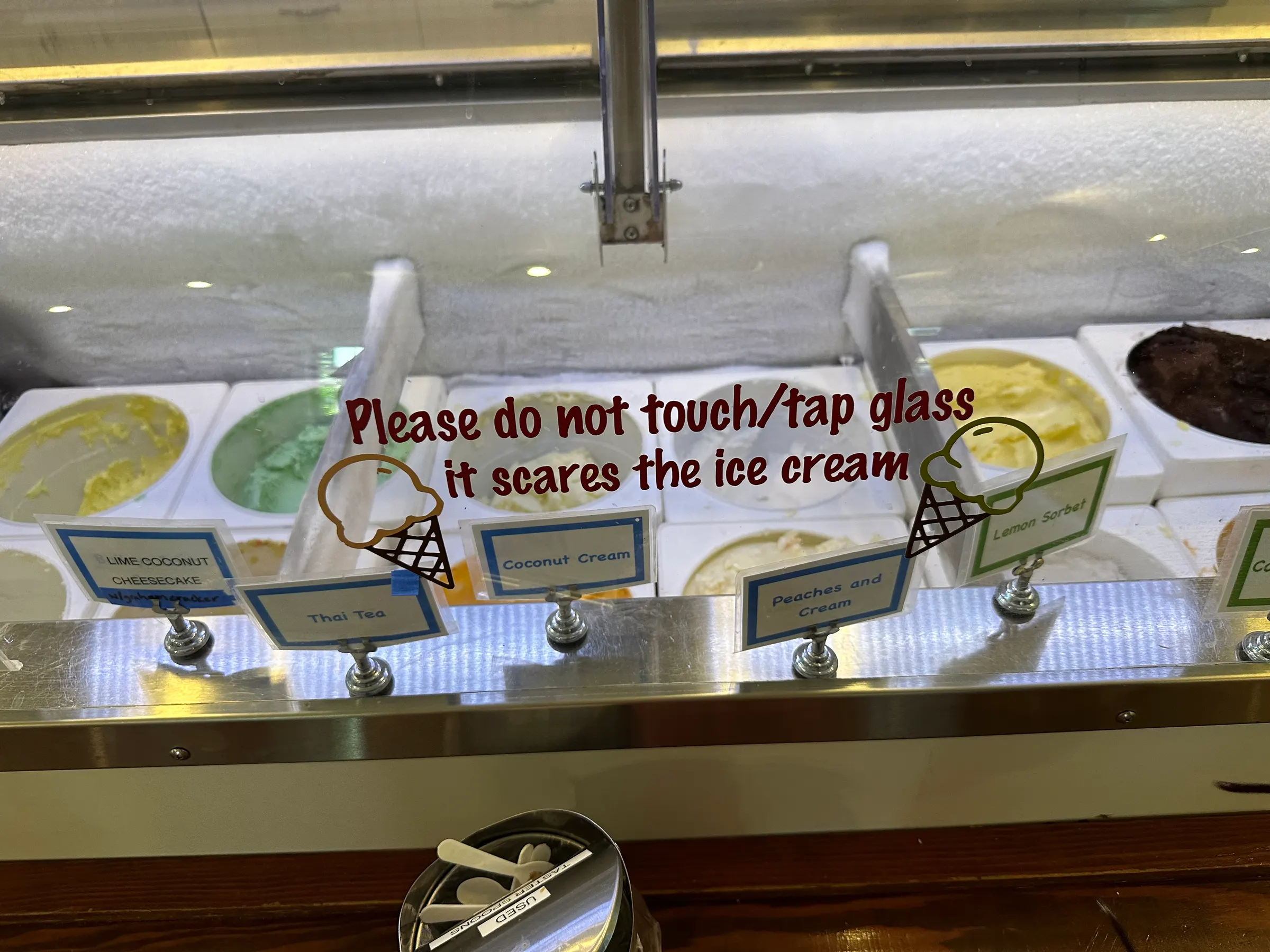 The choices of ice cream and shaved ice are hard here!