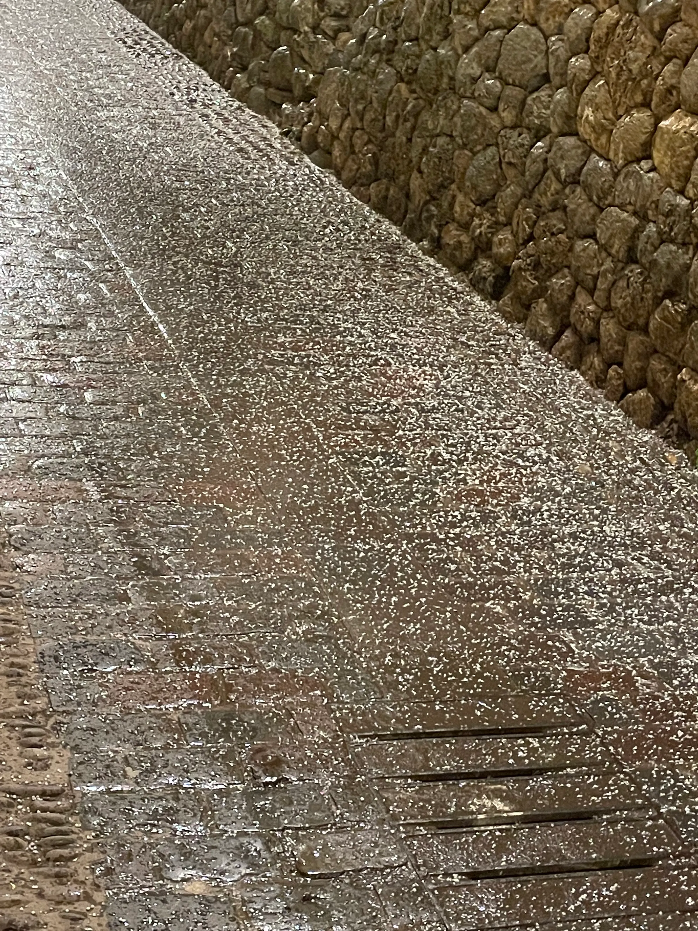 This picture is showing the hail on the walkway outside our BNB. It came down pretty hard at times.