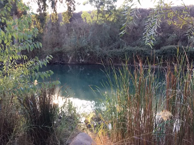 The River....