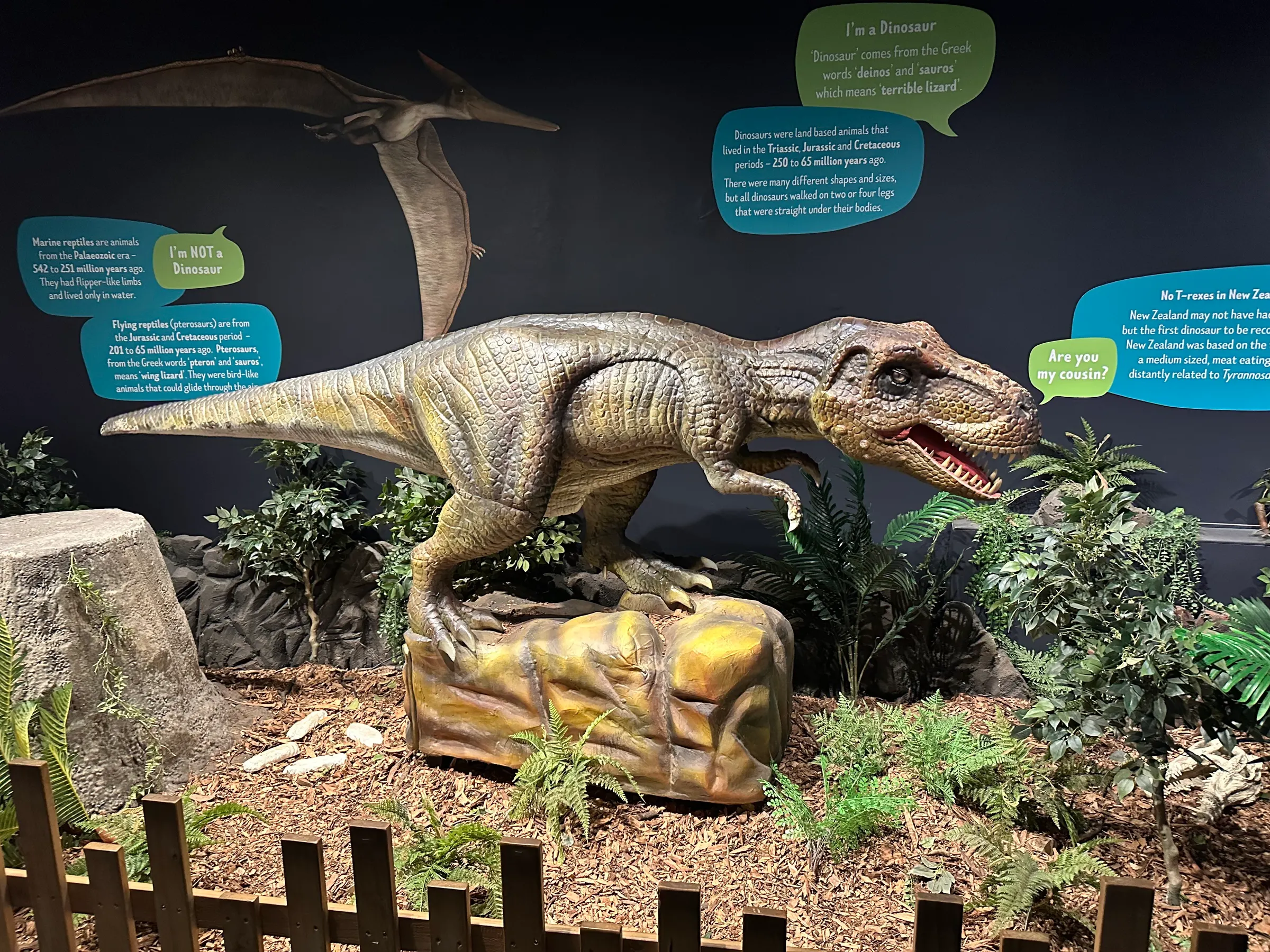 They had a small dinosaur exhibit. We were looking at it and then all of the sudden this dinosaur let out a roar and started to move. I think Denise screamed. It caught us both off guard.
