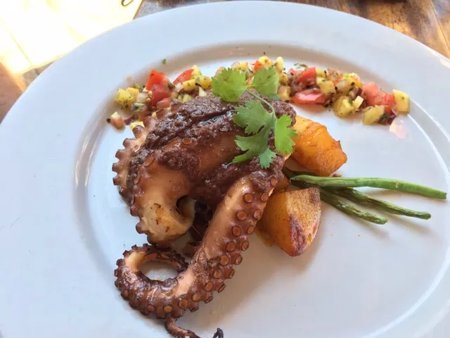 My meal....octopus.