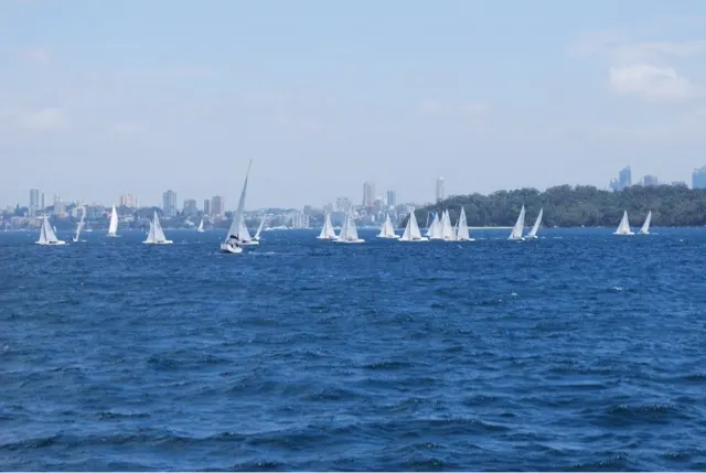 Sail boat training...I'm guessing. But who knows. These little sail boats were everywhere.