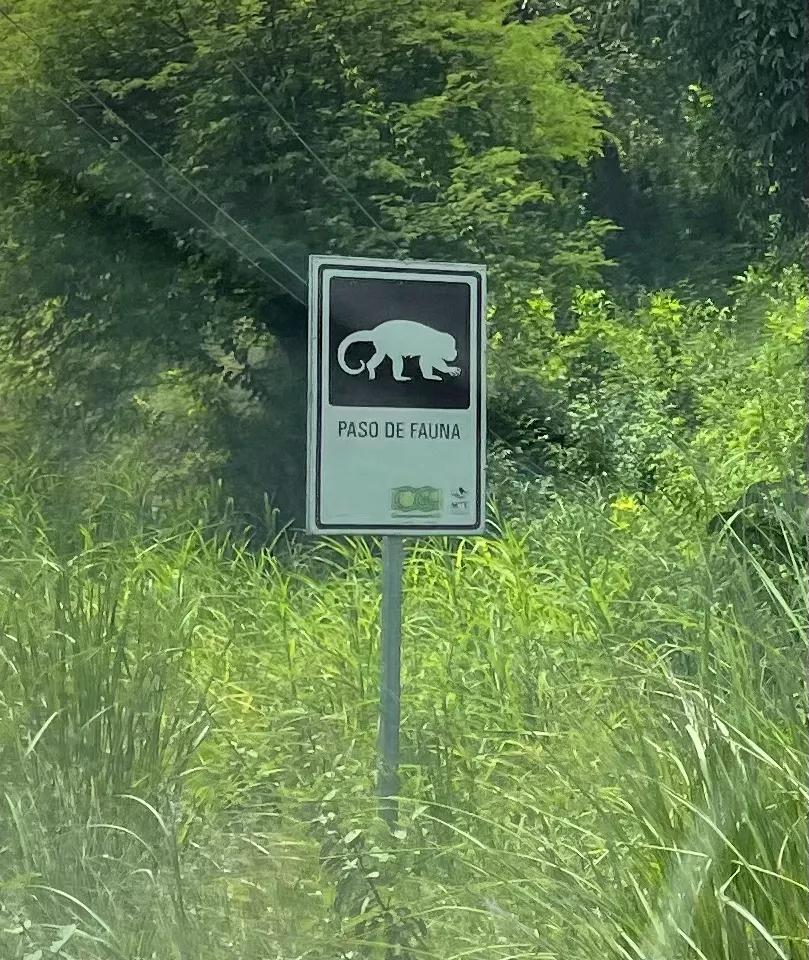 You see interesting road signs about different types of animal crossings. Here are a few of them…you have to guess what the animals are…..