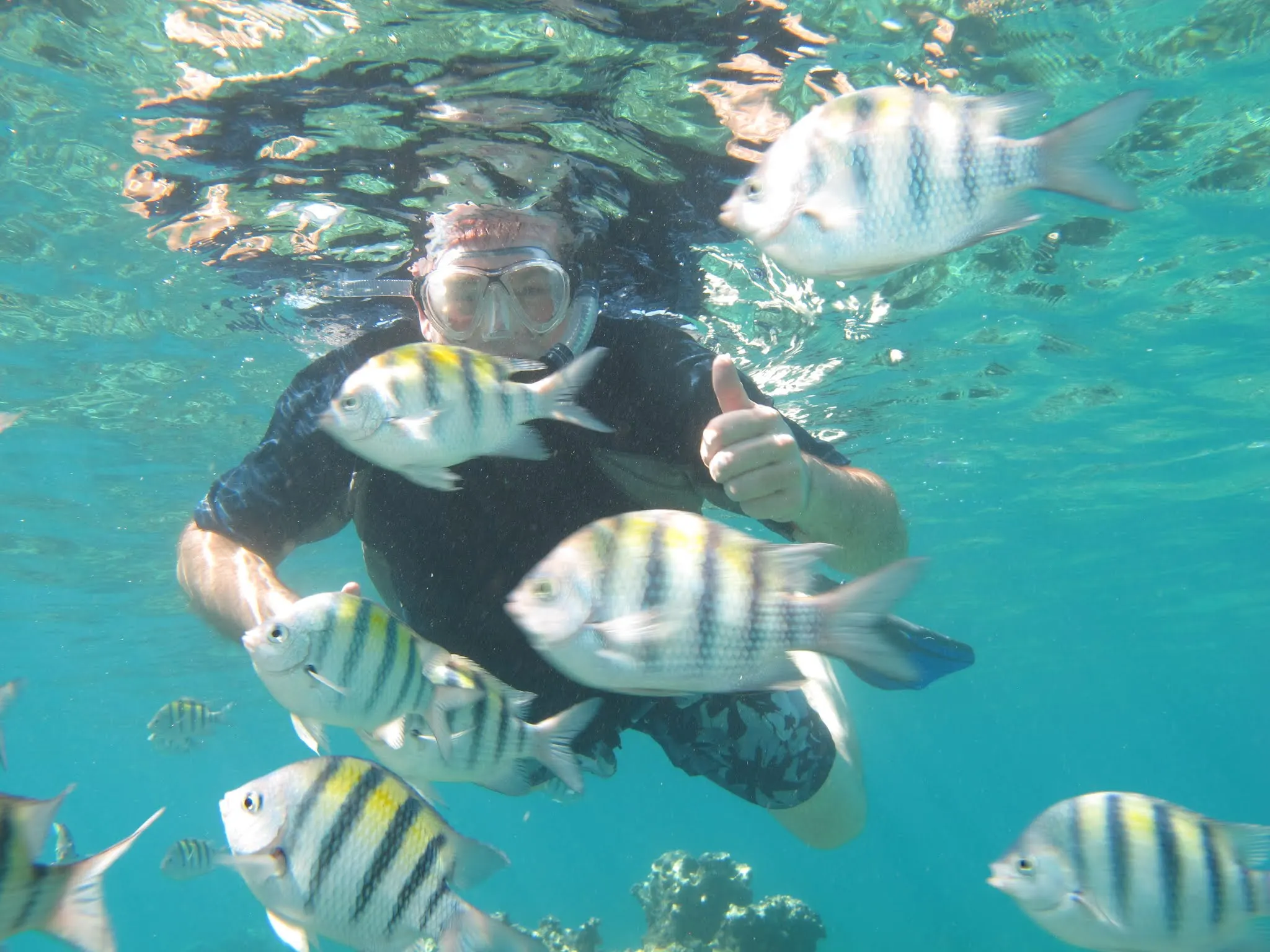 Some snorkeling shots....