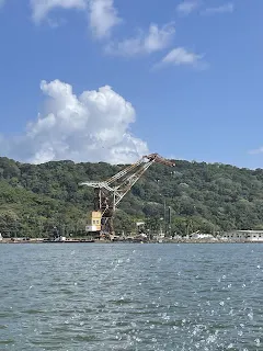One of the cranes at the small port where we launched in the small boat for the tour.