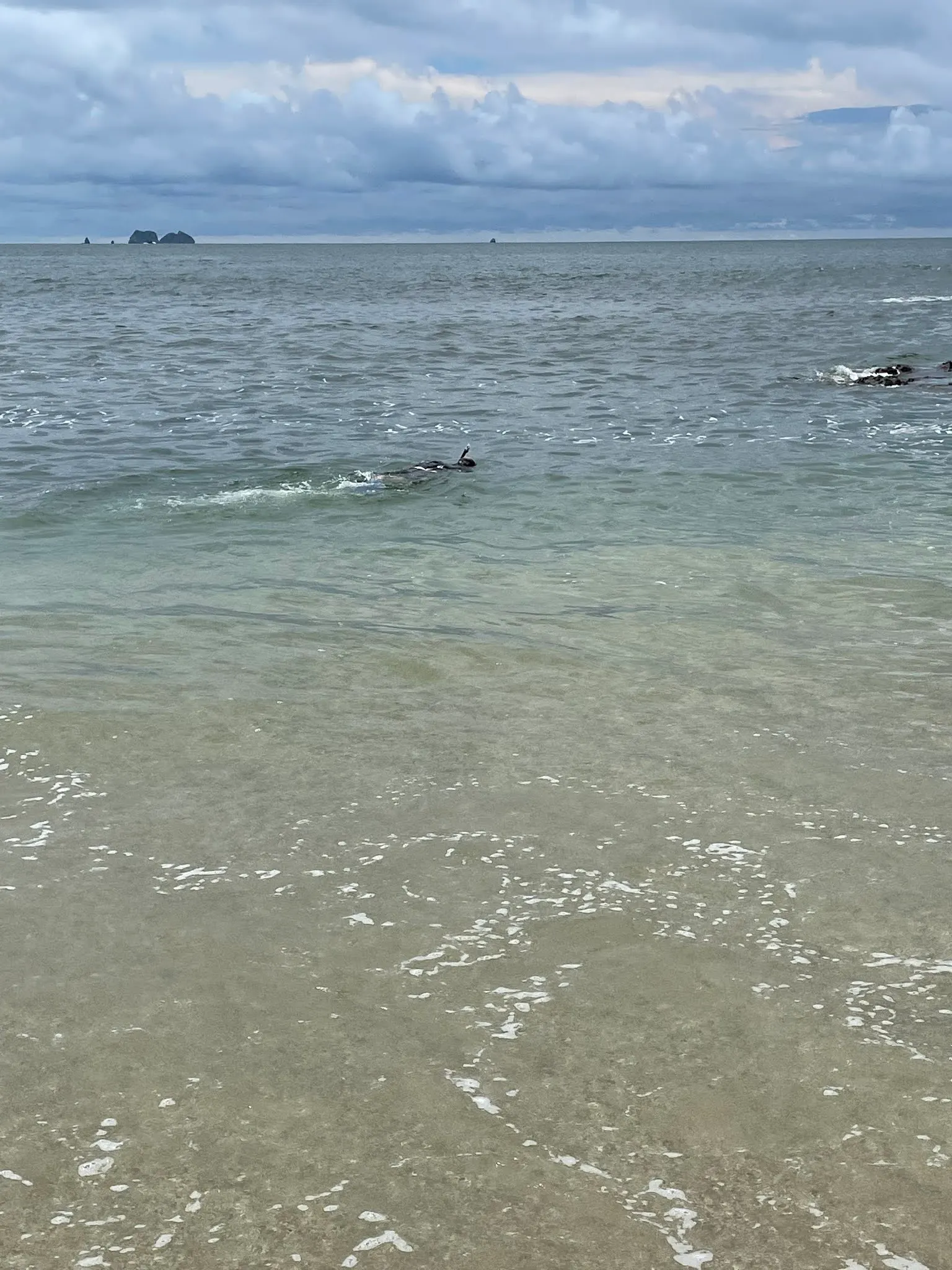 That’s not a whale out there. That’s me heading over to the rocks to see if the water cleared up at all.