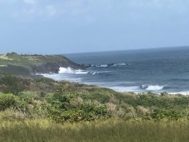 Some island shots....