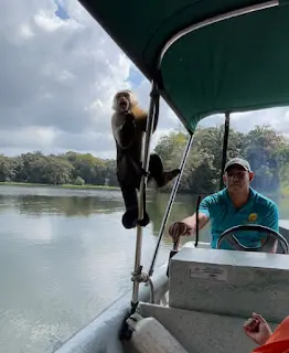There you go…one of the monkeys that came on to our boat. At one point, I was nose to nose with one that came on my side but my phone\camera was in my pocket. They did not stay long. Once they determined there was nothing more to grab…off they went.