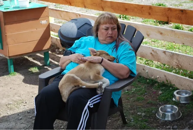 Michelle taking care of one of the dogs....