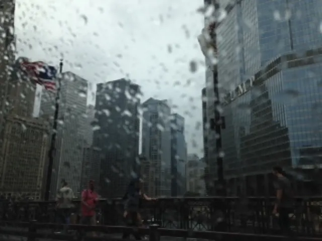 My view from the car.