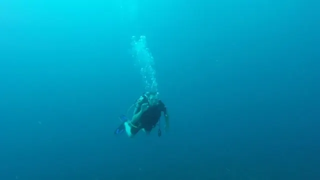 Alone in the underwater world...