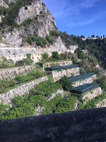 They do everything on a cliff here on this coast!