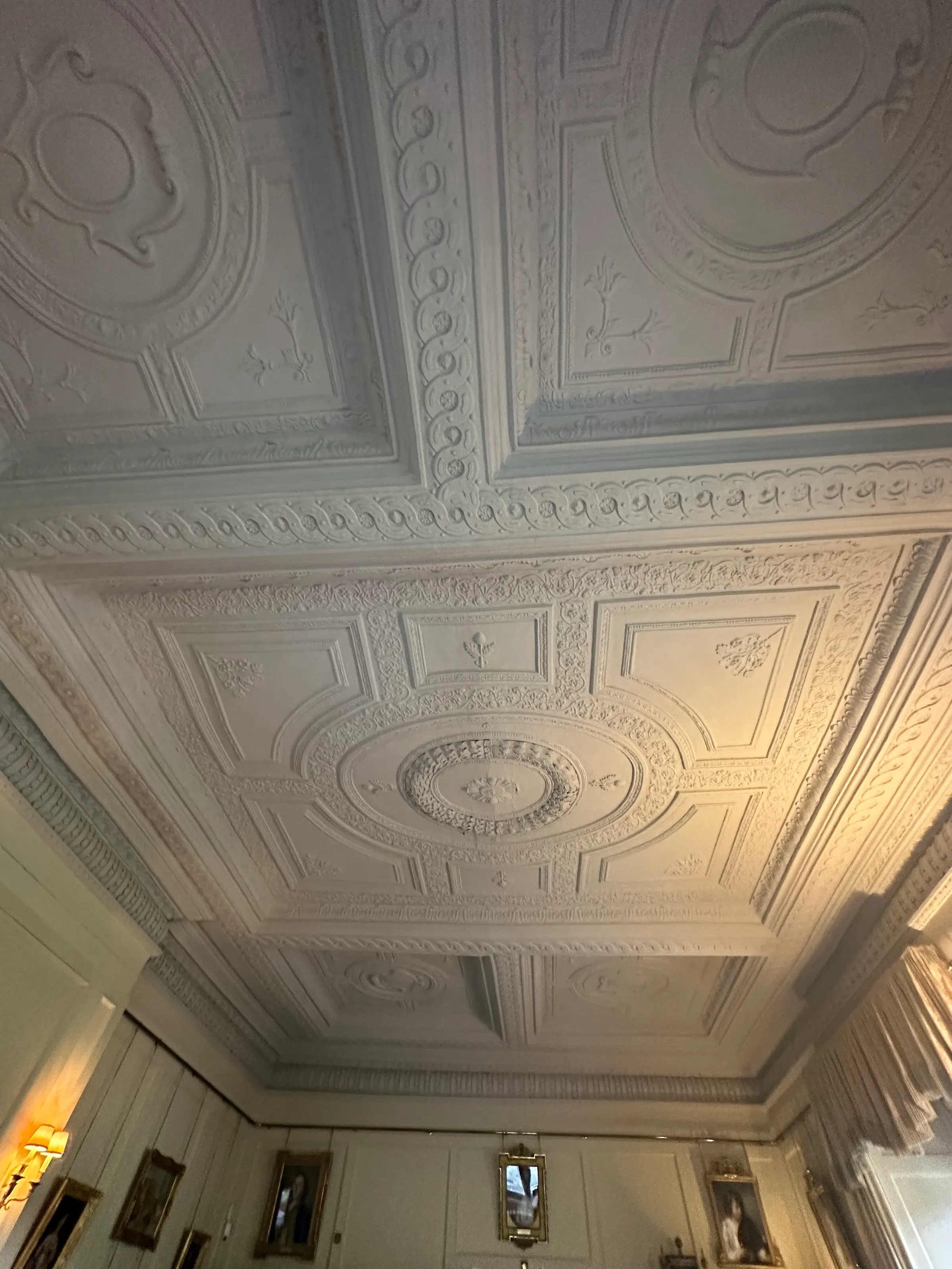 Ceilings are amazing in these old houses.