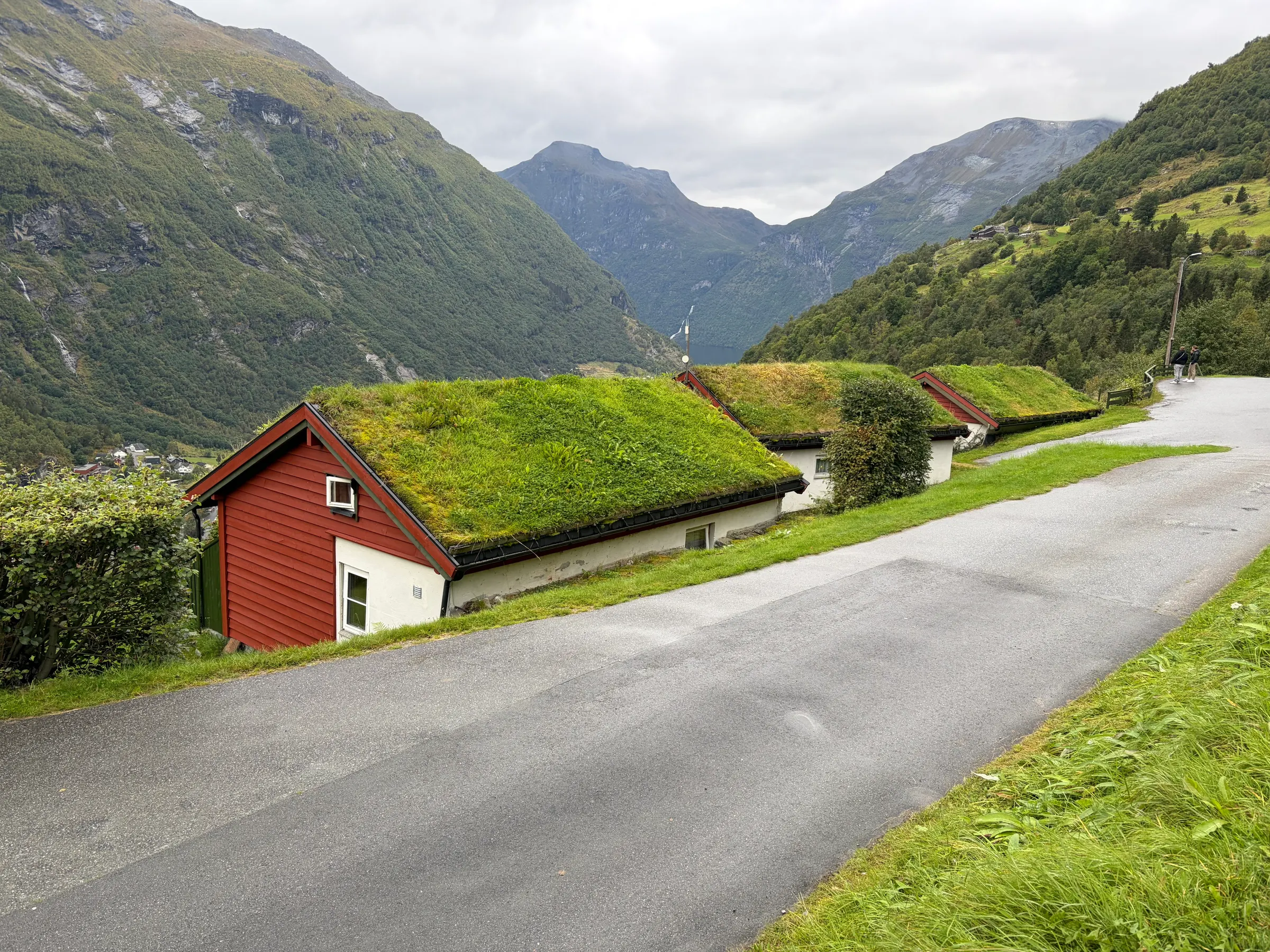 They insulate their homes with dirt and grass on their roof of their houses. I just wonder if they mow it.